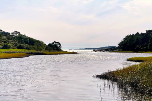 Bilde av Hamburgkilen